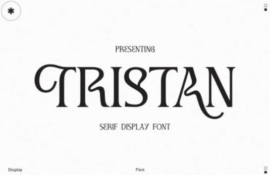 [Fontbundles] Tristan Font (2021)_0.png